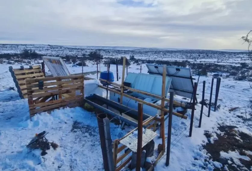 Bebedero Térmico Ovino | Tecnología del INTA que evita el congelamiento del agua con energías renovables