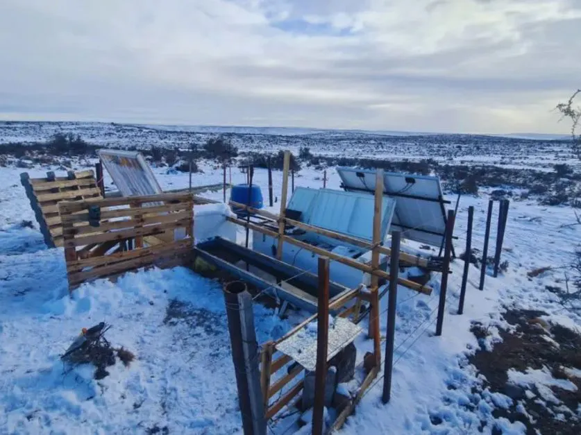 Bebedero Térmico Ovino | Tecnología del INTA que evita el congelamiento del agua con energías renovables