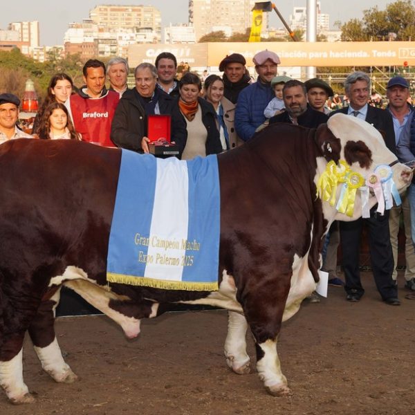 Brillante desempeño de Braford en Palermo: coronaron a sus grandes campeones en la pista central
