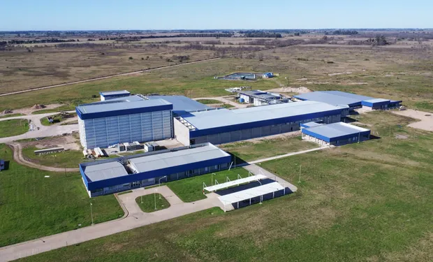 Inversión millonaria: inauguraron un moderno frigorífico porcino que faenará 2000 cerdos por día a 56 km de Ezeiza