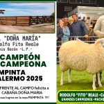 Cabaña Doña María de La Pampa Brilla en Palermo: Bicampeona con la raza Pampinta