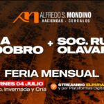 Alfredo S. Mondino | Villa Huidobro y Olavarría | Próximos Remates Feria el viernes 4 de julio de 2025