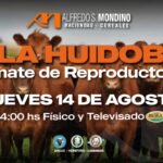 Alfredo S. Mondino | Villa Huidobro | Próximo Remate Feria el jueves 14 de agosto de 2025