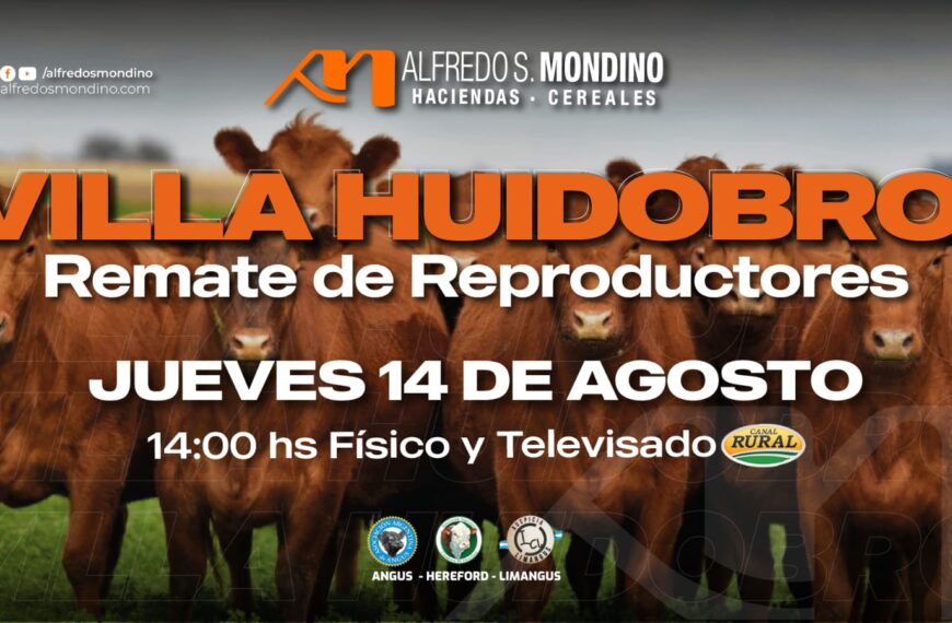 Alfredo S. Mondino | Villa Huidobro | Próximo Remate Feria el jueves 14 de agosto de 2025