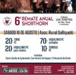6º Remate Anual Shorthorn – Arzoz & Cía S.A. | Salliqueló | Próximo Remate Feria el sábado 16 de agosto de 2025