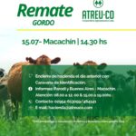 ATREU-CO | Macachín | Próximo Remate Feria el martes 15 de julio de 2025