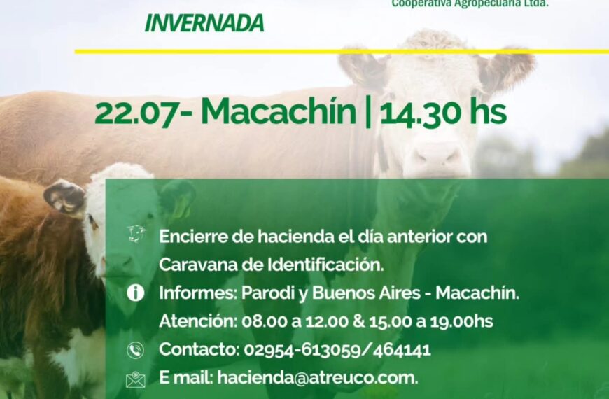 ATREU-CO | Macachín | Próximo Remate Feria el lunes 22 de julio de 2025