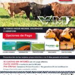 Cabaña Villa María – Brandemann Consignataria | Eduardo Castex | Próximo Remate Feria el viernes 18 de julio de 2025