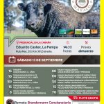 Brandemann Consignataria | Eduardo Castex | Próximo Remate Feria el sábado 13 de septiembre de 2025