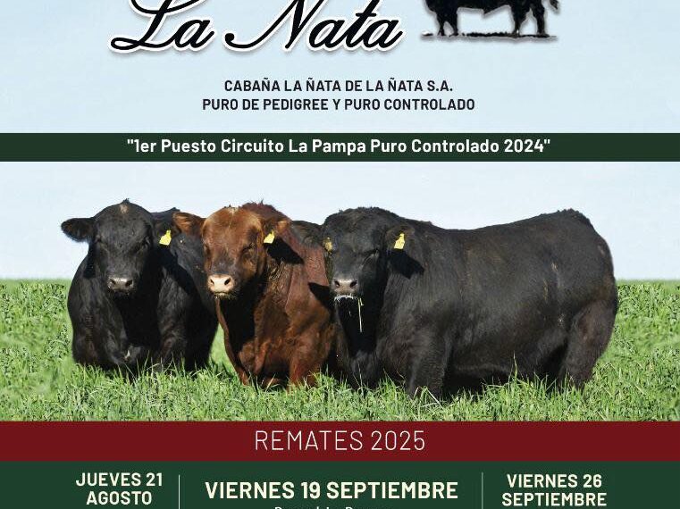 Cabaña La Ñata – Colombo y Magliano | Rancul | Próximo Remate Feria el viernes 19 de septiembre de 2025