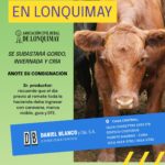 Daniel Blanco y Cía. S.A. | Lonquimay | Próximo Remate Feria el jueves 17 de julio de 2025
