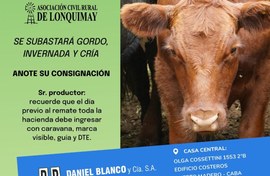 Daniel Blanco y Cía. S.A. | Lonquimay | Próximo Remate Feria el jueves 17 de julio de 2025