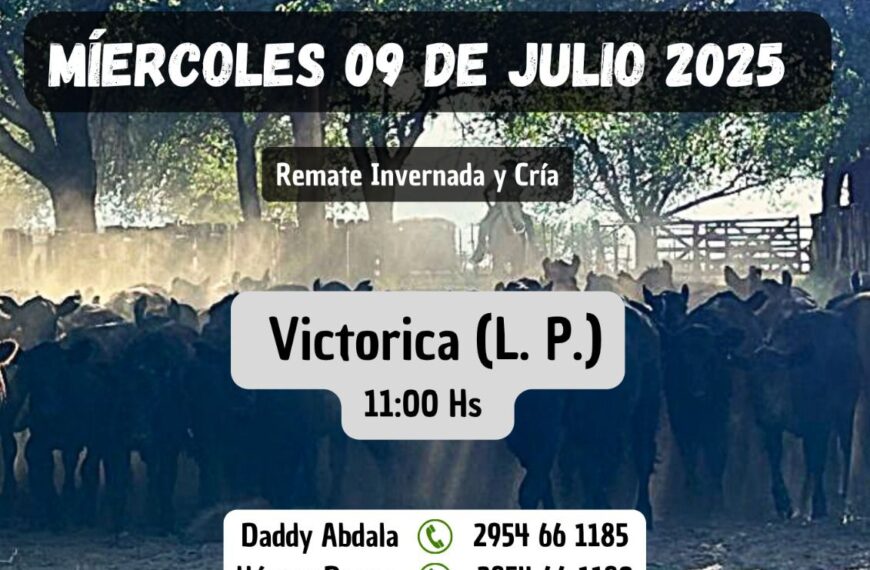 Ganaderos de Elordi S.A. | Victorica | Próximo Remate Feria el miércoles 09 de julio de 2025