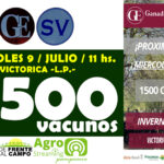 Ganaderos de Elordi S.A. y Sociedad Victorica S.R.L. | Victorica | Próximo Remate Feria el miércoles 9 de julio de 2025