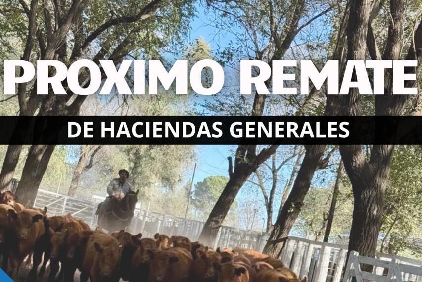 Ganaderos de Gral. Acha S.A. | General Acha | Próximo Remate Feria el viernes 18 de julio de 2025