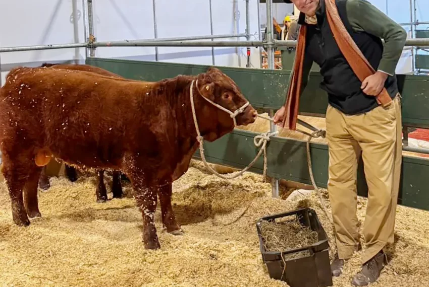 Del parqué a la Pampa: el gaucho de Wall Street que trajo por primera vez la raza Devon a la Expo Rural
