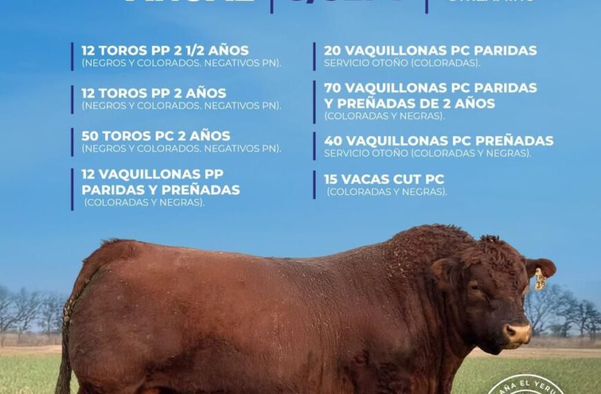 Cabaña El Yeruá – Gregorio Aberasturi | Conhelo | Próximo Remate Feria el viernes 5 de septiembre de 2025