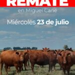 Grupo Quemú | Miguel Cané | Próximo Remate Feria el miércoles 23 de julio de 2025