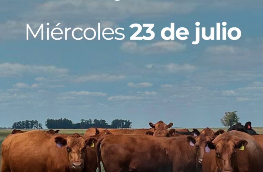 Grupo Quemú | Miguel Cané | Próximo Remate Feria el miércoles 23 de julio de 2025