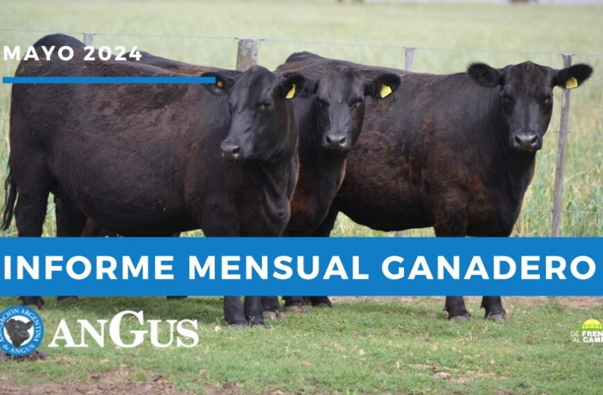 Informe Mensual Asociación Argentina de Angus Mayo 2025