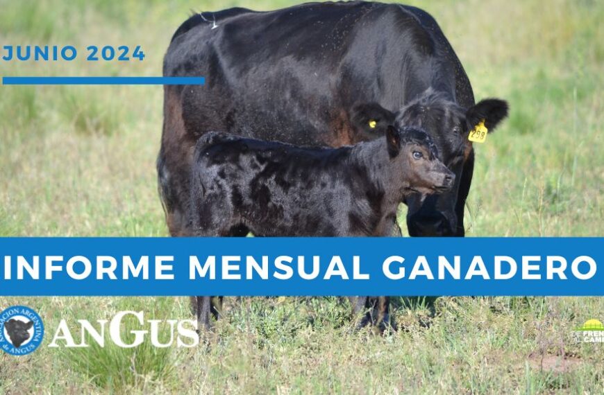 Informe Mensual Asociación Argentina de Angus Junio 2025