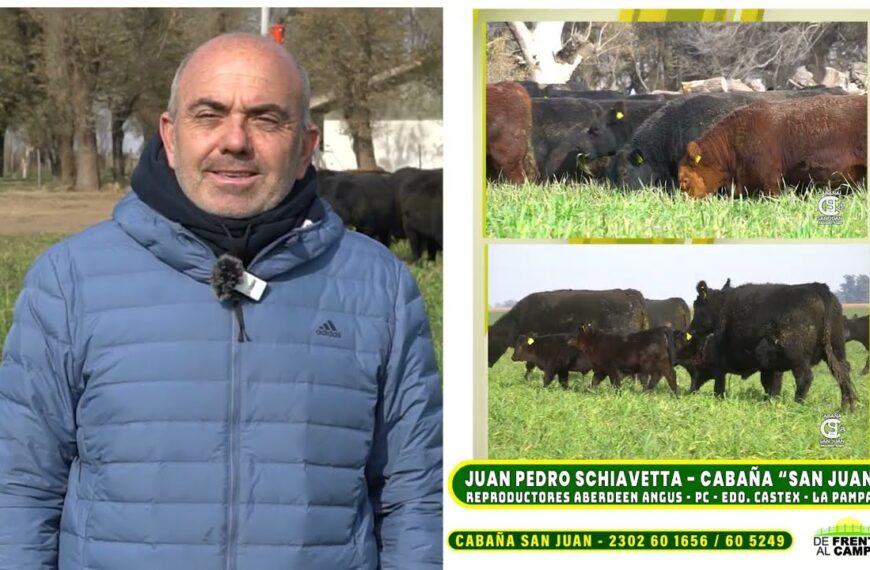 Entrevista: Cabaña San Juan profundiza su impronta en el Aberdeen Angus pampeano