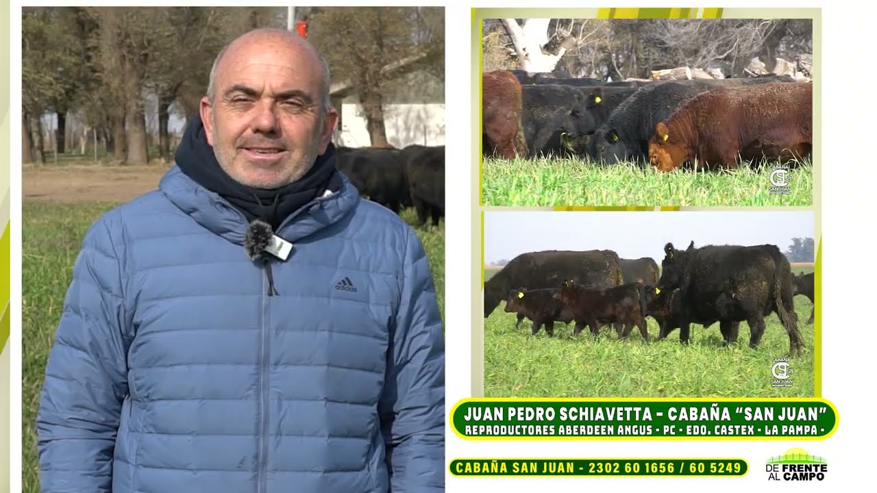 Entrevista: Cabaña San Juan profundiza su impronta en el Aberdeen Angus pampeano