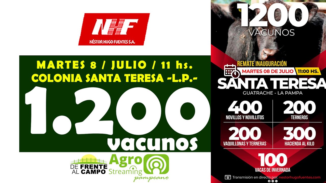 Néstor Hugo Fuentes S.A. | Santa Teresa | Próximo Remate Feria el martes 8 de julio de 2025