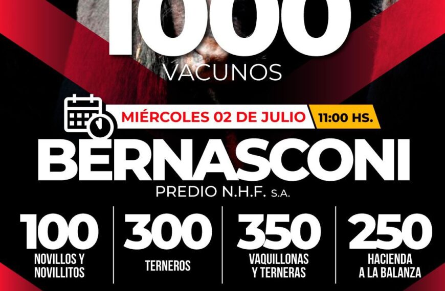 Néstor Hugo Fuentes S.A. | Bernasconi | Próximo Remate Feria el miércoles 2 de julio de 2025