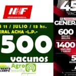 Néstor Hugo Fuentes S.A. | General Acha | Próximo Remate Feria el Viernes 11 de julio de 2025