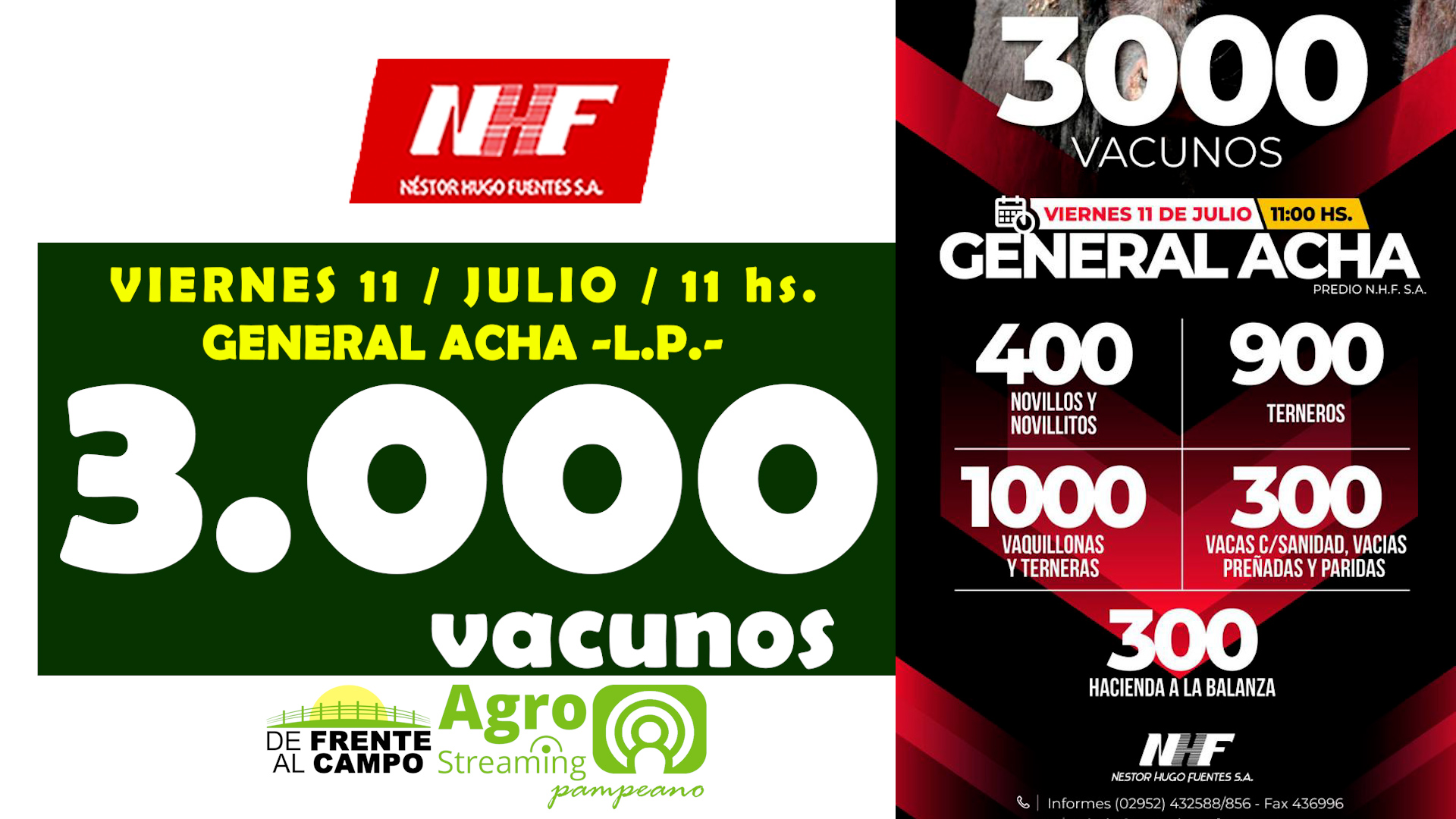 Néstor Hugo Fuentes S.A. | General Acha | Próximo Remate Feria el Viernes 11 de julio de 2025