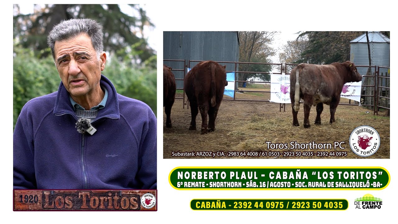 Entrevista: Norberto Plaul y el exitoso 6° remate Shorthorn de Cabaña «Los Toritos»