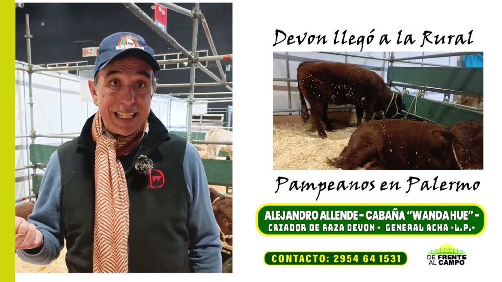 Alejandro Allende de Cabaña Wanda Hue sonriendo en la Expo Palermo con un toro Devon en el fondo.