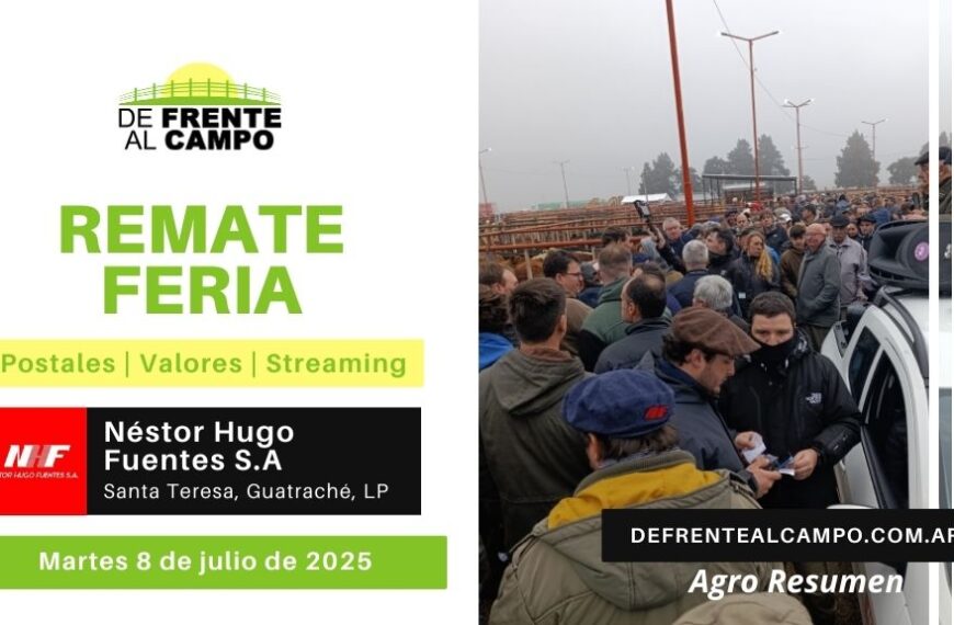 Remate Feria de Néstor Hugo Fuentes S.A. | Santa Teresa, Guatraché, L. P. | Martes 08/07/2025