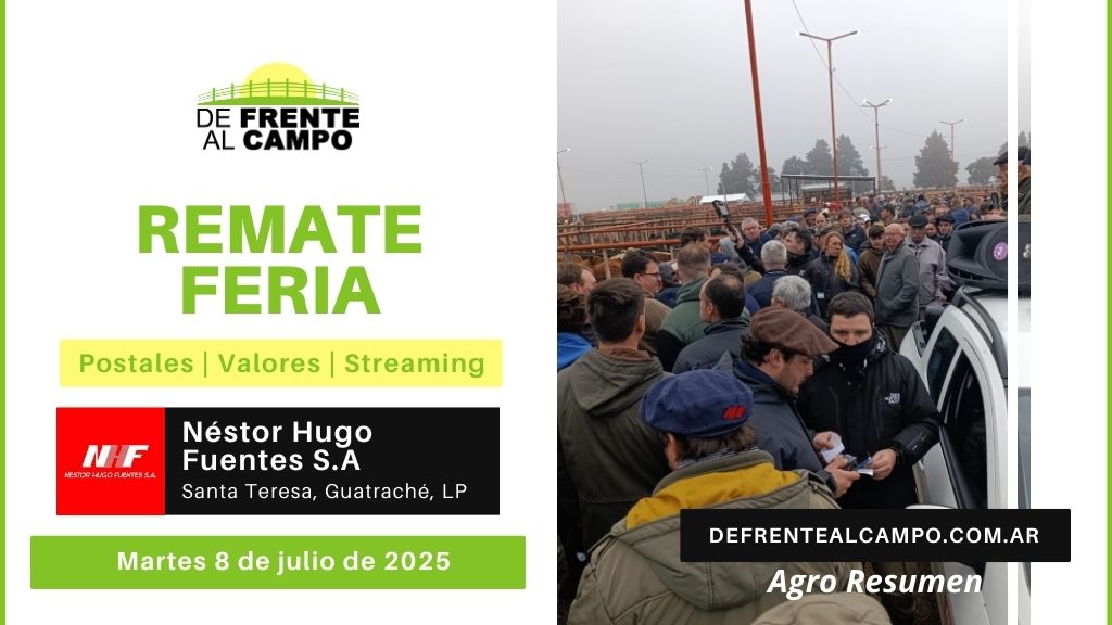 Remate Feria de Néstor Hugo Fuentes S.A. | Santa Teresa, Guatraché, L. P. | Martes 08/07/2025