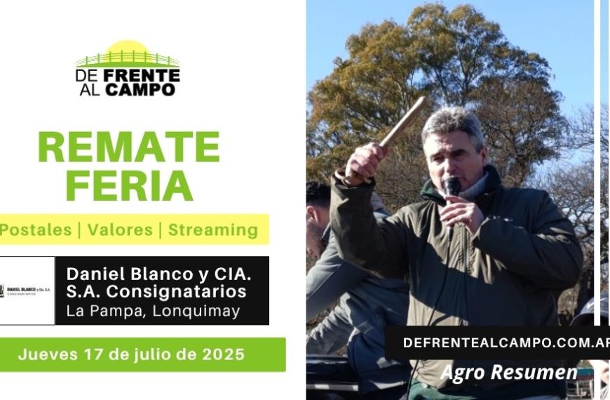 Remate Feria de Daniel Blanco y CIA. S.A. Consignatarios | Lonquimay | Jueves 17/07/2025