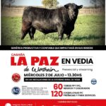 La Paz de Werthein – Saenz Valiente, Bullrich y Cía. | Vedia | Próximo Remate Feria el miércoles 2 de julio de 2025