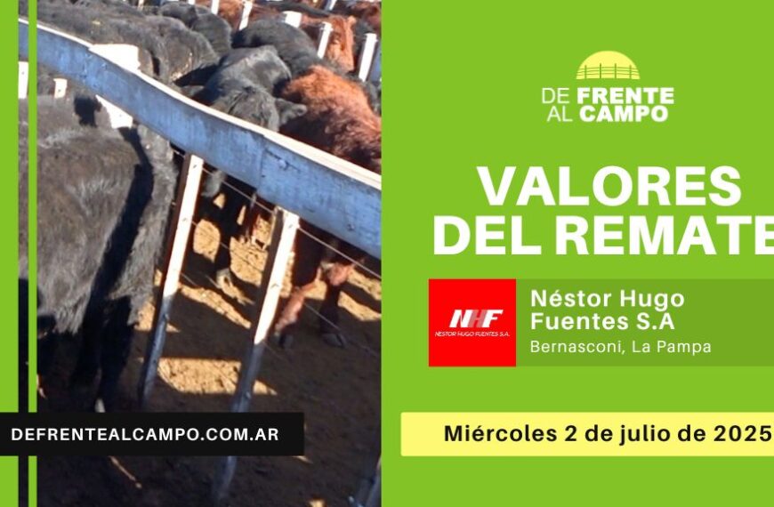 Valores del remate de Néstor Hugo Fuentes S.A. | Bernasconi | Miércoles 02/07/2025