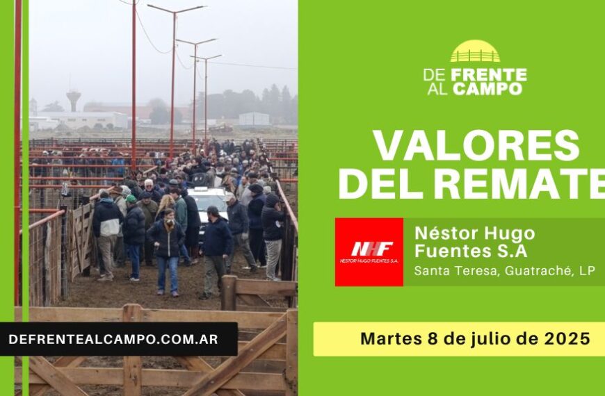 Valores del remate de Néstor Hugo Fuentes S.A. | Colonia Santa Teresa, Guatraché, L. P. | Martes 08/07/2025