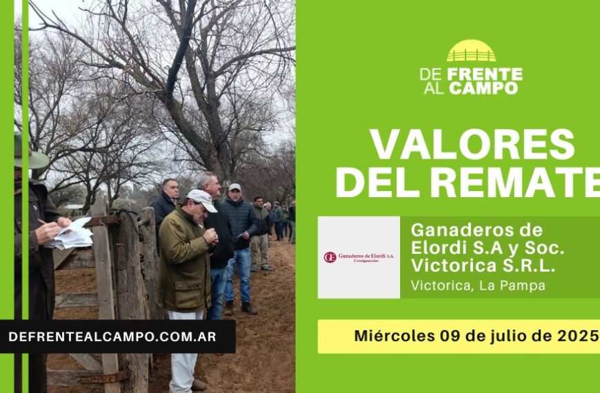 Valores del remate de Ganaderos de Elordi S.A. y Sociedad Victorica S.R.L. | Victorica | Miércoles 09/07/2025