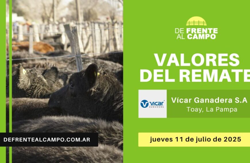 Valores del remate de Vicar Ganadera S.A. | Toay, La Pampa | Jueves 10/07/2025