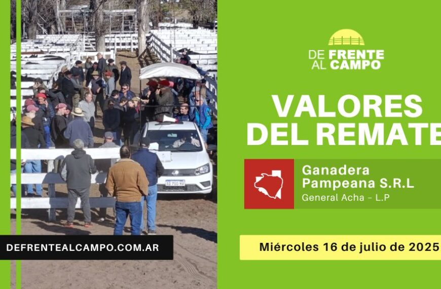 Valores del remate de Ganadera Pampeana SRL | General Acha, La Pampa | Miércoles 16/07/2025