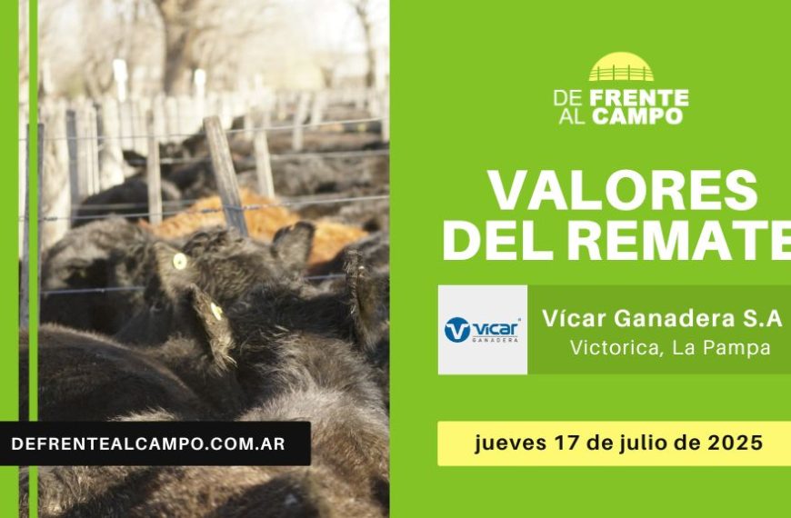 Valores del remate de Vicar Ganadera S.A. | Victorica | Jueves 17/07/2025