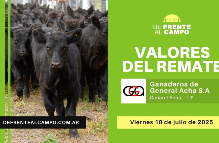 Valores del remate de Ganaderos de General Acha S.A. | General Acha | Viernes 17/07/2025