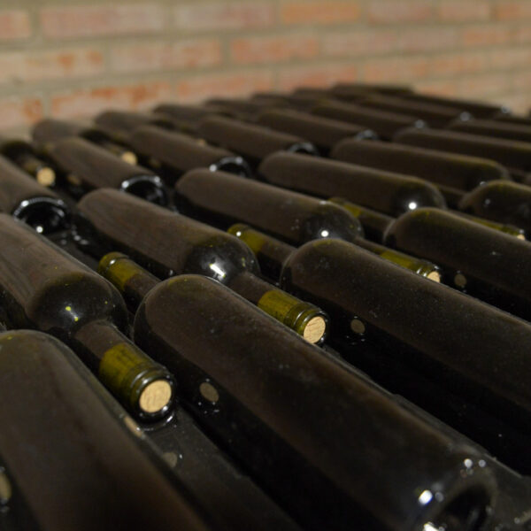 El Reino Unido reconoce las expresiones tradicionales de los vinos argentinos, impulsando las exportaciones
