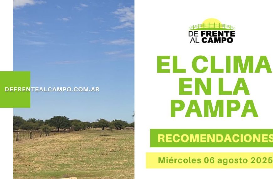 clima en La Pampa hoy
