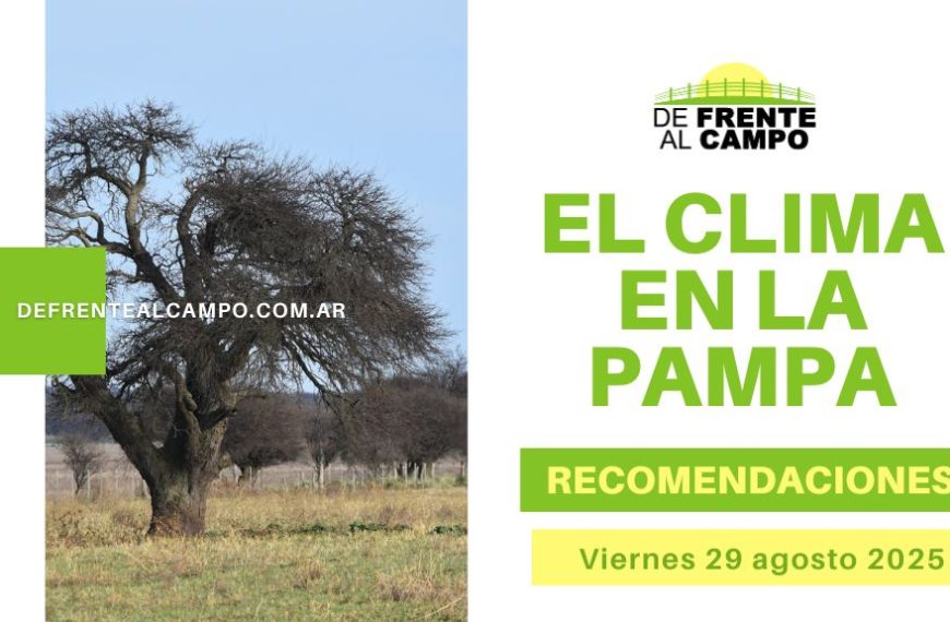 Máximas de 26 °C, humedad alta y alerta por lluvias: así estará el clima en La Pampa, con un fin de semana frío e inestable (Viernes 29 de agosto 2025)