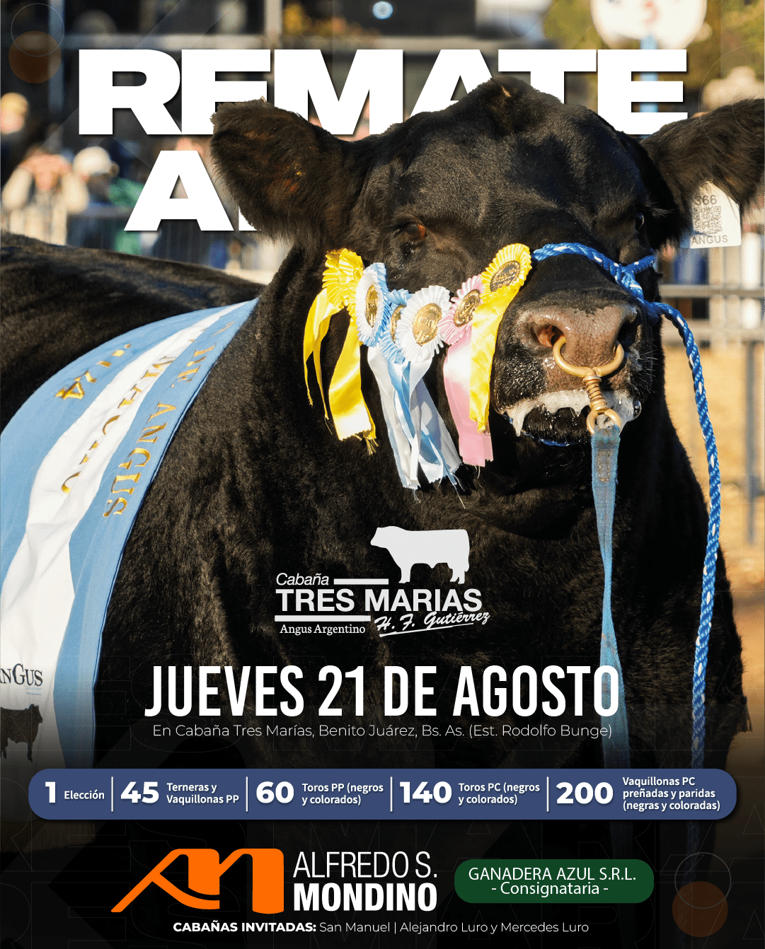 Remate Anual Tres Marías 2025: genética Angus en Benito Juárez