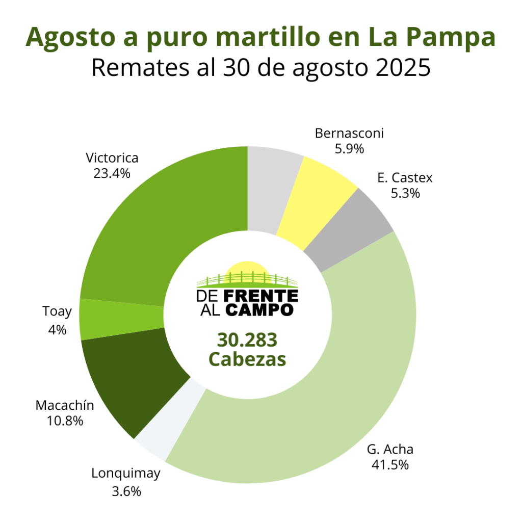 El dinamismo de los remates de hacienda en La Pampa agosto 2025