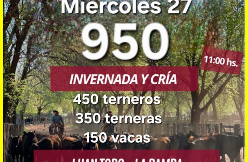 Ganaderos de Elordi S.A. | Luan Toro, La Pampa | Próximo Remate Feria el Miércoles 27 de agosto de 2025